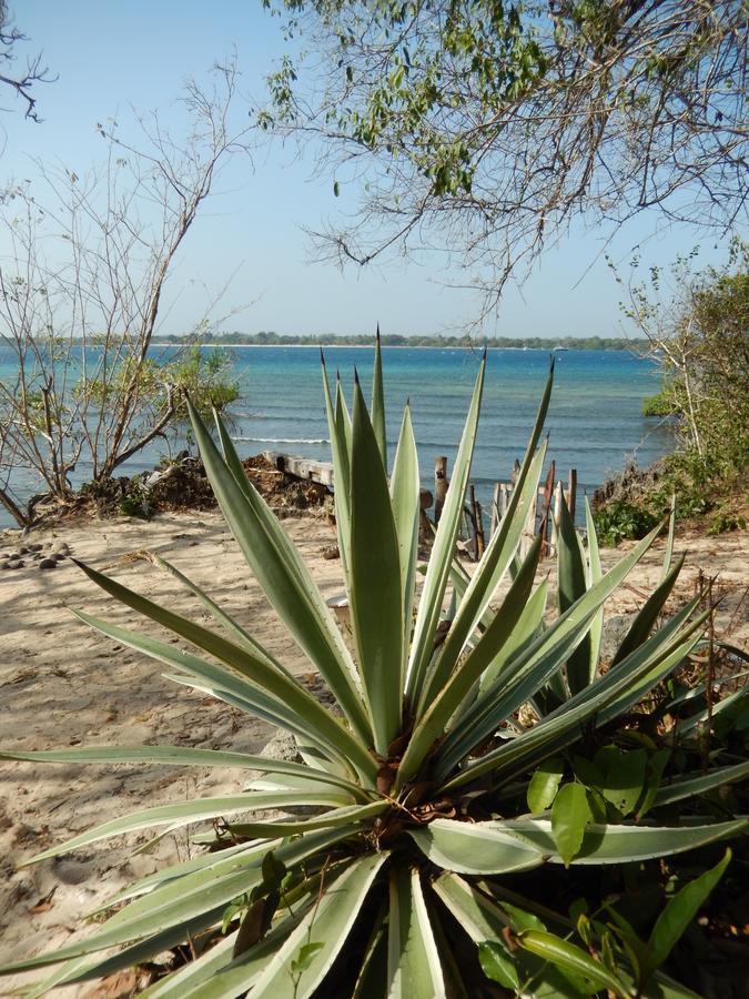 Blue Monkey Beach Cottages Shimoni Luaran gambar