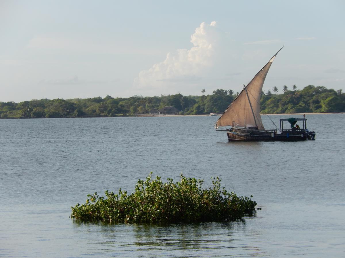 Blue Monkey Beach Cottages Shimoni Luaran gambar