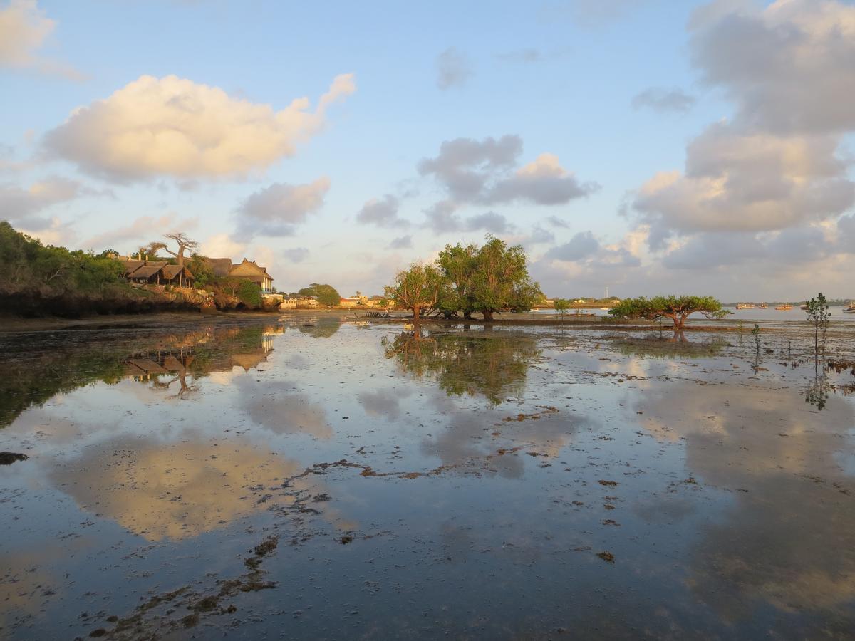 Blue Monkey Beach Cottages Shimoni Luaran gambar