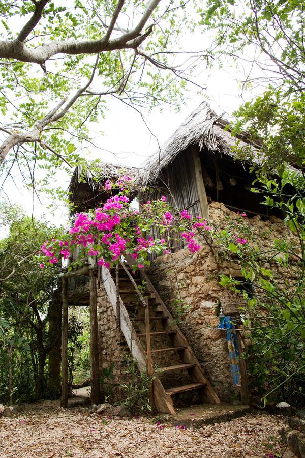 Blue Monkey Beach Cottages Shimoni Luaran gambar